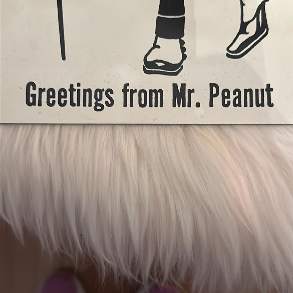 Vintage Mr. Peanut Porcelain (Enamel) Advertising Sign by Ande Rooney™️ - Picture 10 of 14